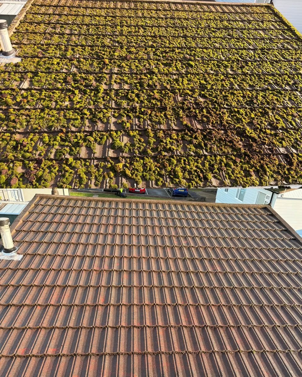 Before and after roof clean in Somerset, Somerset