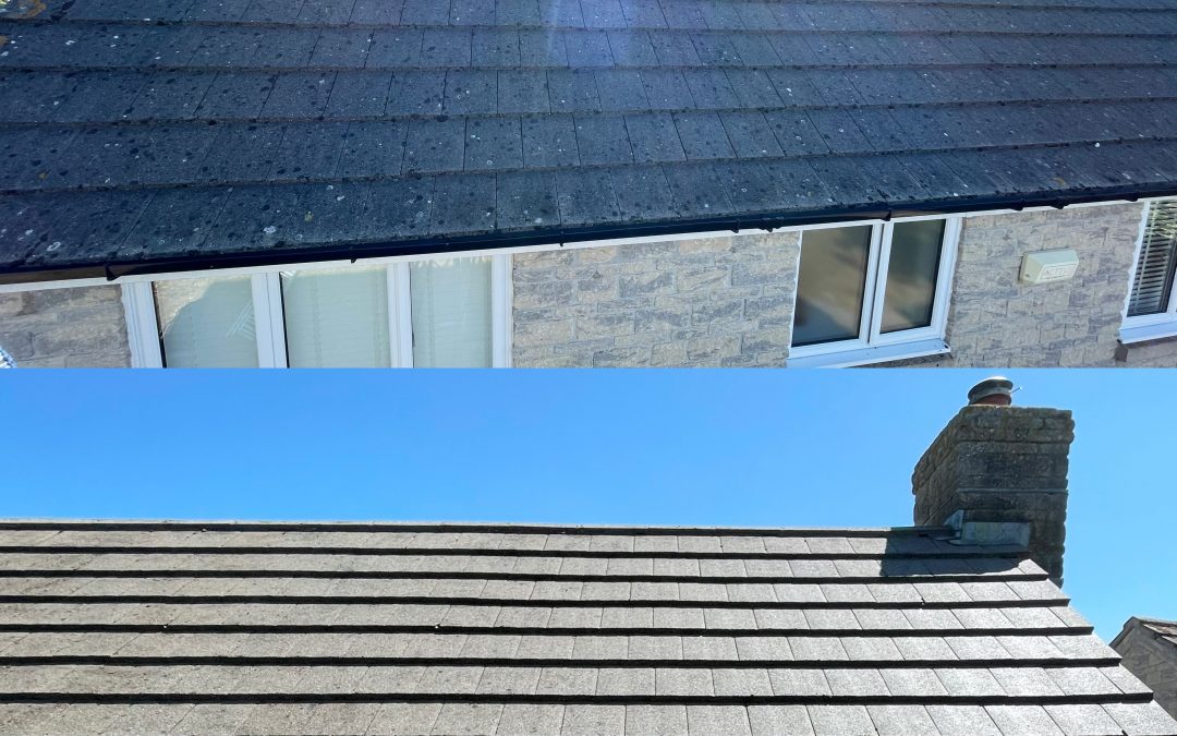 Full roof transformation