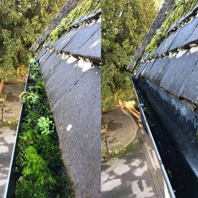 gutter cleaners newport