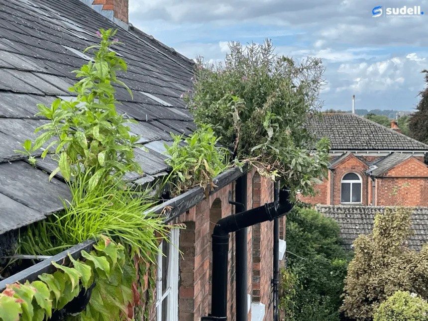 Gutter cleaner in yeovil 