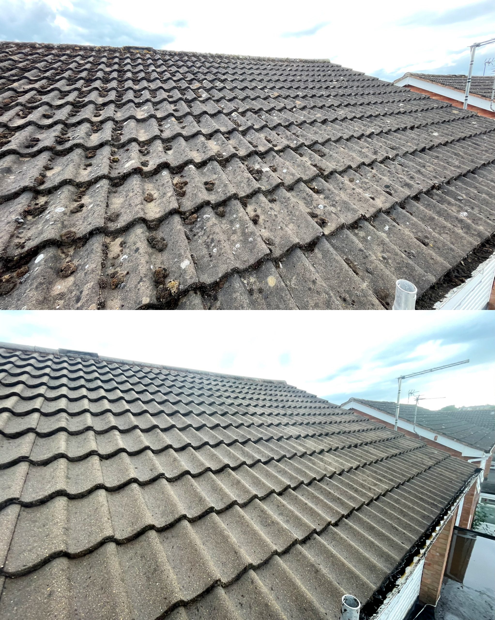 Taunton roof clean before after