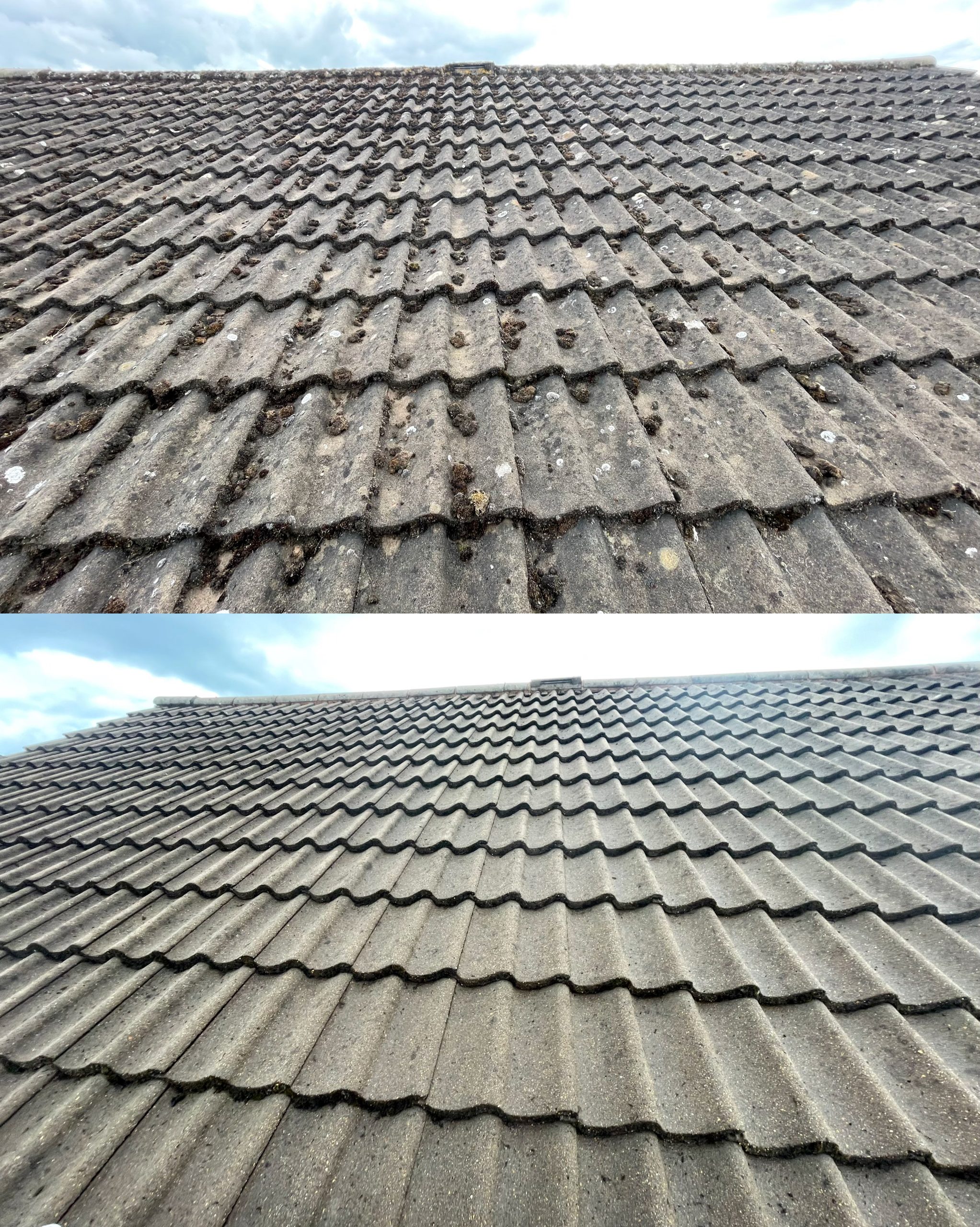 Taunton roof clean before after