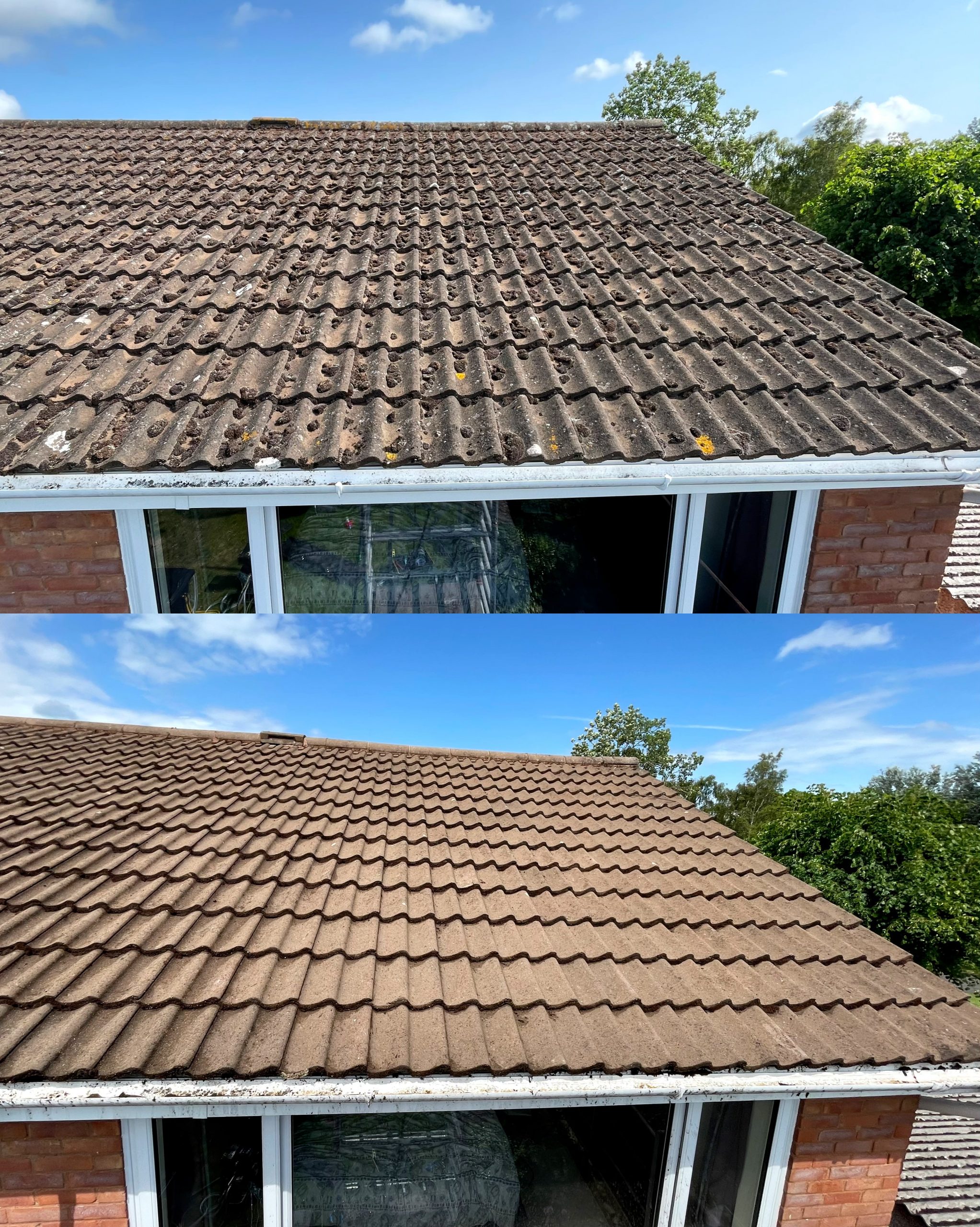 Taunton roof clean before after